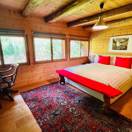Aparthotel Mountain River Resort Val dʼIlliez Exterior foto