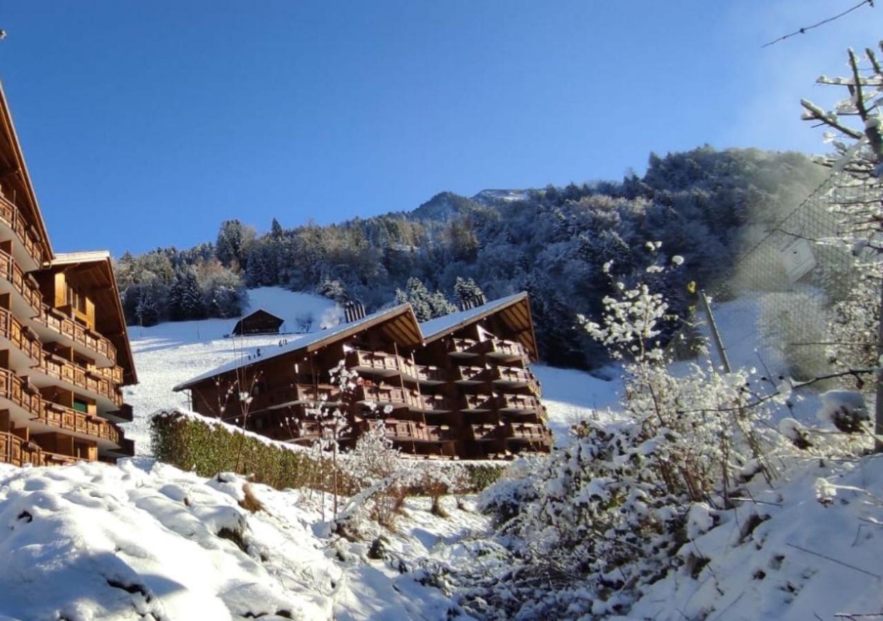 Aparthotel Mountain River Resort Val dʼIlliez Exterior foto